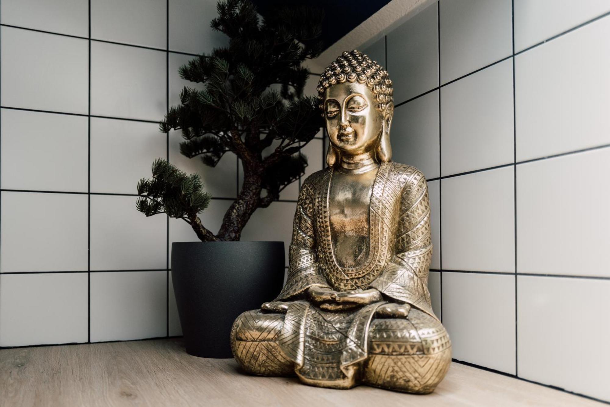 Rooftop Buddha Lounge - Im Dachgeschoss In Mit Waschmaschine Und Netflix Apartment