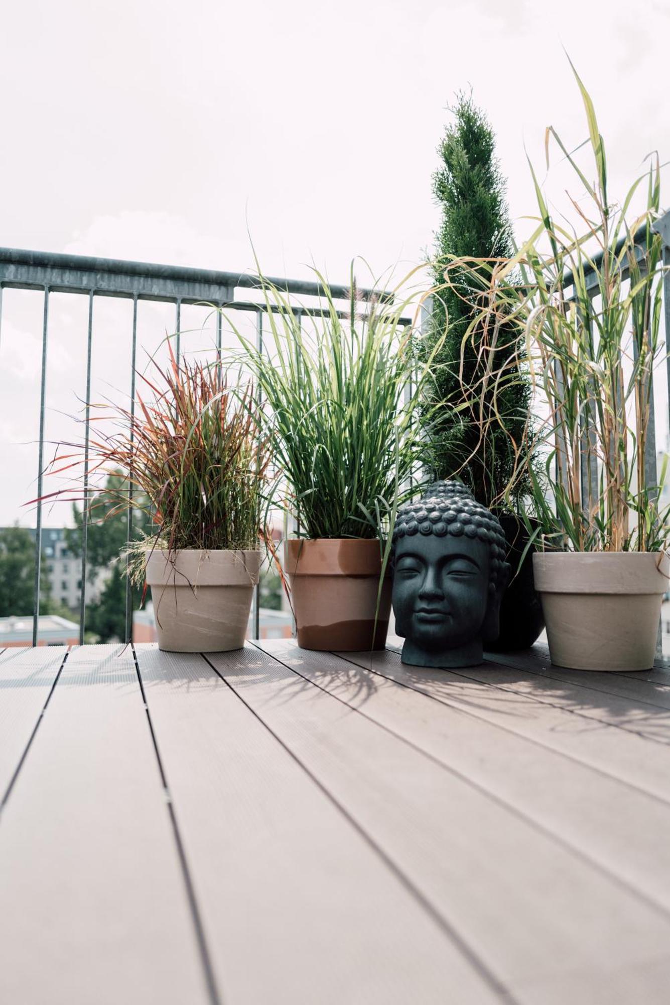 Rooftop Buddha Lounge - Im Dachgeschoss In Mit Waschmaschine Und Netflix